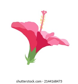 Beautiful hibiscus flowers Vector set of blooming tropical floral for holiday invitations, greeting card and fashion design Tropicania and exoticism