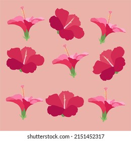 Hermosas flores de hibisco Vector conjunto de floral tropical floreciente para invitaciones de vacaciones, tarjetas de felicitación y diseño de moda Tropicania y exotismo