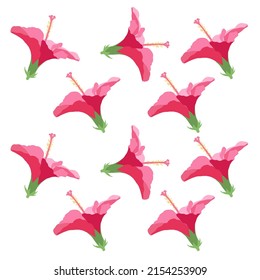Hermosas flores de hibisco Vector conjunto de floral tropical floreciente para invitaciones de vacaciones, tarjetas de felicitación y diseño de moda Tropicania y exotismo