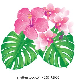 Beautiful hibiscus and orchid flowers. Vector illustration.