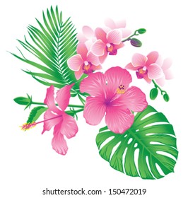 Beautiful hibiscus and orchid flowers. Vector illustration.