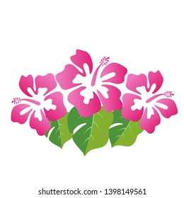 Beautiful hibiscus summer flower vector illustration
