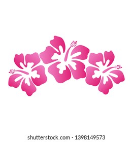 Beautiful hibiscus summer flower vector illustration