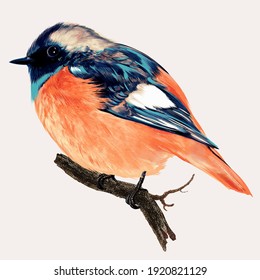 Hermosa ilustración vectorial de gran detalle para el diseño
