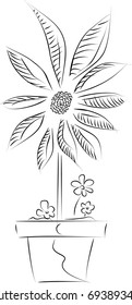 Beautiful home flower
