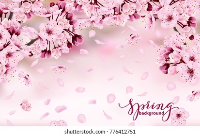 Bela faixa horizontal com flores de sakura escuras e rosa claro florescendo. Fundo da primavera. Modelo para cartão de convite, cartão de aniversário, banner, beleza, fundo Ilustração vetor.