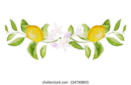 Beautiful horizontal vector branch with watercolor yellow lemon fruits, leaves, and flowers. Perfect for background for greetings, birthdays, mothers day cards.