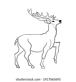 Beautiful horned deer outline vector illustration.Black stripes on white.
