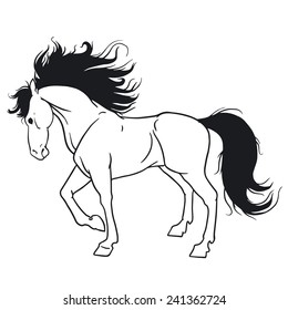 Beautiful horse