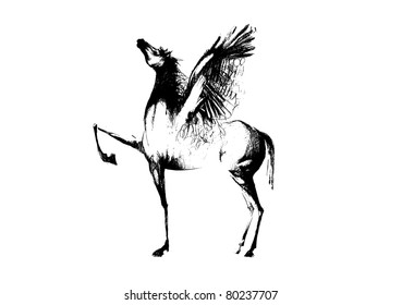 Beautiful Horse.