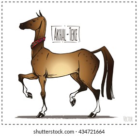 beautiful horse Akhal-Teke breed. freehand drawing. isolated vector. color and cartoon. for design of books and notebooks, horse races and clubs