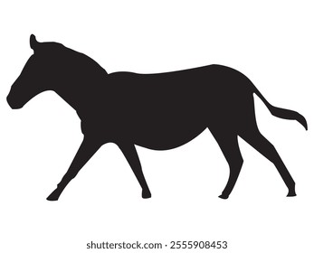 Beautiful horse animal image design vector 