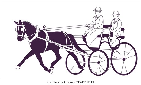 Beautiful horse driving dressage carriage. Horse combined driving. equestrian sport horse driving trials. Isolated white background. Traditional harness horse with carriage.