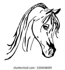 Beautiful horse head Silhouette isolated on white background. Vector illustration.