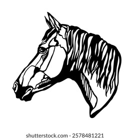 Beautiful horse head silhouette. Horse portrait black and white. Vector illustration, isolated on white background. Stallion horse, template for logo, design, tattoo, stencil and laser cutting