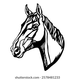 Beautiful horse head silhouette. Horse portrait black and white. Vector illustration, isolated on white background. Stallion horse, template for logo, design, tattoo, stencil and laser cutting