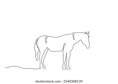 beautiful horse nature calm freedom one line art design vector