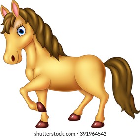 Beautiful horse posing isolated on white background