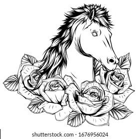 Beautiful horse with roses. Vector drawn illustration