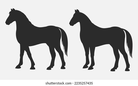 Beautiful horse side silhouettes vector illustration
