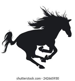 Beautiful horse. Silhouette.