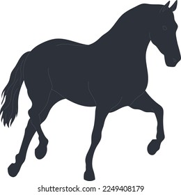 Beautiful Horse Silhouette Illustration Victor