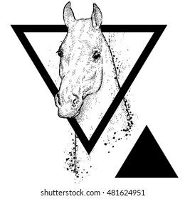 Beautiful horse with a triangle. Vector illustration for greeting card, poster, or print on clothes. Fashion & Style. Hipster. Hand drawing.