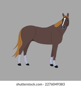 A beautiful horse vector artwork