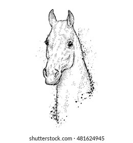 Beautiful horse. Vector illustration for greeting card, poster, or print on clothes. Fashion & Style. Hipster. Hand drawing.