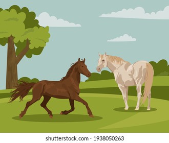 beautiful horses of different colors and in different poses against the backdrop of nature. Horseback riding. farm. poster card with horses