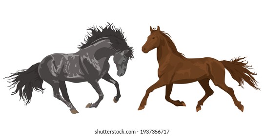 hermosos caballos en diferentes poses. Conjunto de ilustraciones vectoriales aisladas en fondo blanco. Caballo. granja. tarjeta de poster con caballos