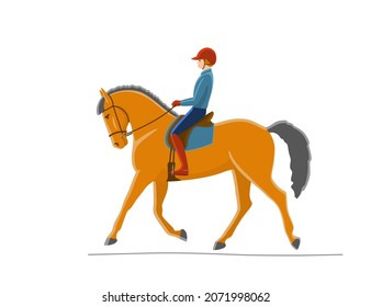 Beautiful horsewoman rides a cute horse, vector illustration without outline