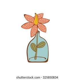 Beautiful  house plant  in  glass vase. vector illustration