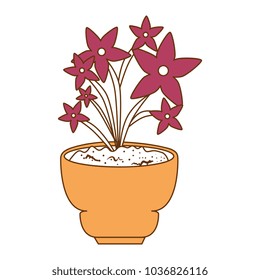 beautiful houseplant with flowers in pot