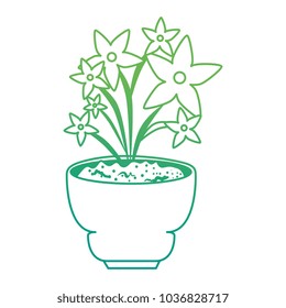 beautiful houseplant with flowers in pot