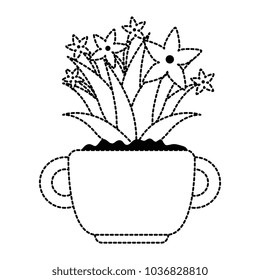 beautiful houseplant with flowers in pot