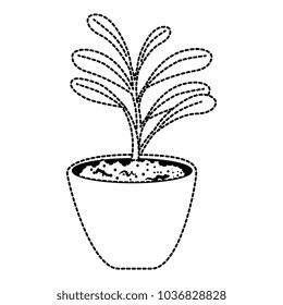beautiful houseplant in pot