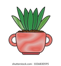 beautiful houseplant in pot