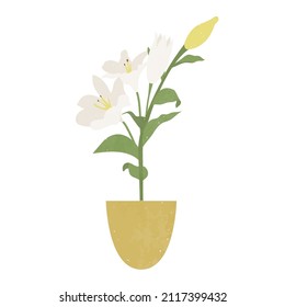 A beautiful houseplant in a pot. Vintage flower in a pot. Vector illustration.