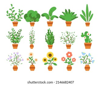 Hermosas plantas en macetas. Vector de plantas decorativas