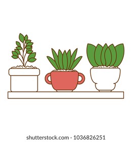 beautiful houseplants set in wooden shelf
