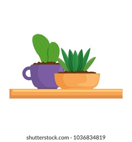 beautiful houseplants set in wooden shelf