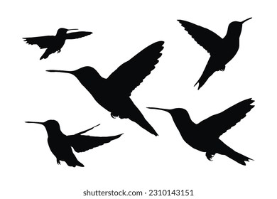 Beautiful hummingbird flying silhouette set on a white background. Wild hummingbird silhouette bundle design. Cute little birds flying in different positions. Fowl full body silhouette collection.