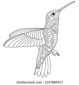 Beautiful hummingbird line art illustration for coloring book pages for adults. 