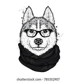 A beautiful husky with glasses and a scarf. Vector illustration with thoroughbred dog. Hipster.

