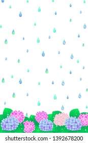Beautiful hydrangea after the rain