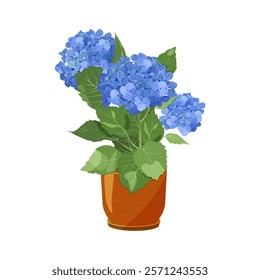 Beautiful hydrangea flower in a pot on isolated background. Design element for wedding invitations, cards. Vintage Floral of Blooming hydrangea. Vector Illustration.