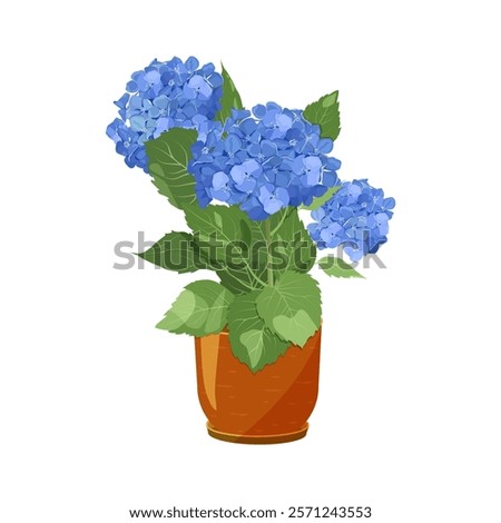 Beautiful hydrangea flower in a pot on isolated background. Design element for wedding invitations, cards. Vintage Floral of Blooming hydrangea. Vector Illustration.