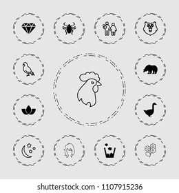 Beautiful icon. collection of 13 beautiful filled and outline icons such as bear, goose, diamond, trash bin, dove. editable beautiful icons for web and mobile.