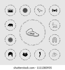Beautiful icon. collection of 13 beautiful filled and outline icons such as sunflower, bear, heart, hair, hairstyle, dinosaur. editable beautiful icons for web and mobile.